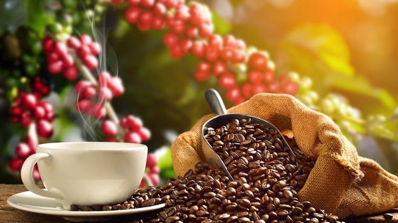 Main Coffee